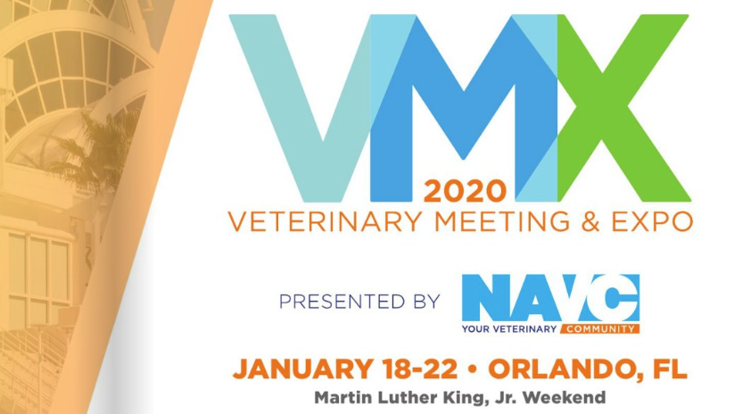 VMX 2019 Conference